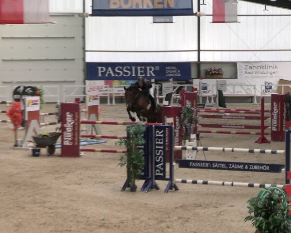 Reitturnier Borken 2024