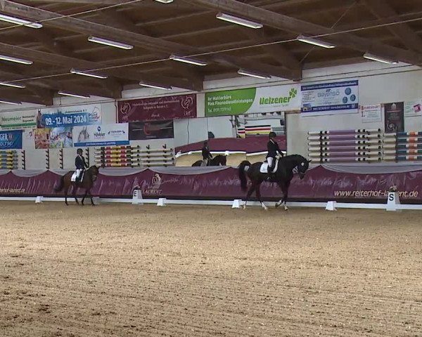Reitturnier Eicherloh RH Laurent/Obb. 2024