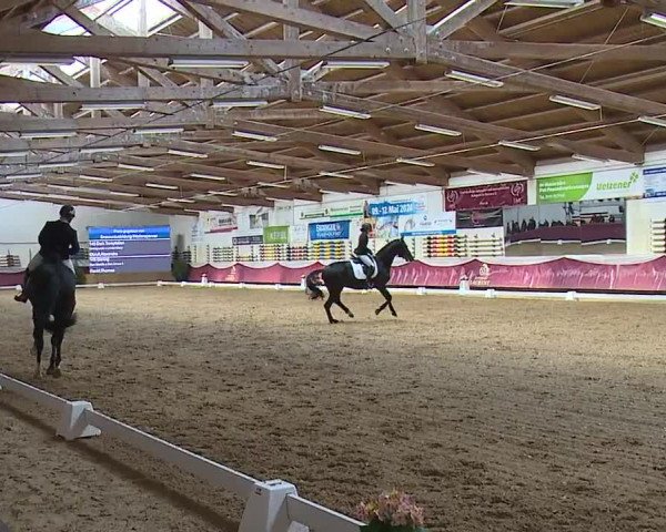 Reitturnier Eicherloh RH Laurent/Obb. 2024