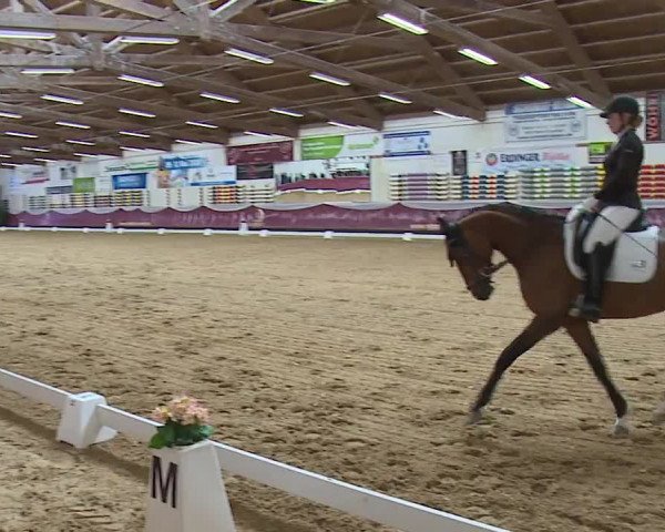 Reitturnier Eicherloh RH Laurent/Obb. 2024