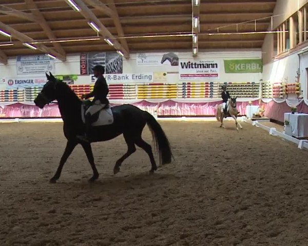 Reitturnier Eicherloh RH Laurent/Obb. 2024