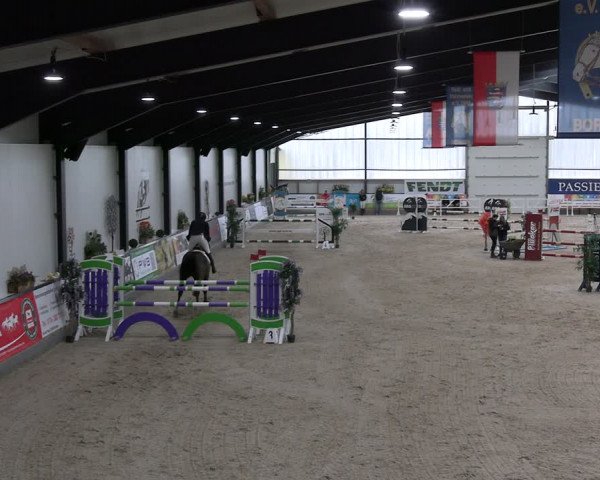 Reitturnier Borken 2024