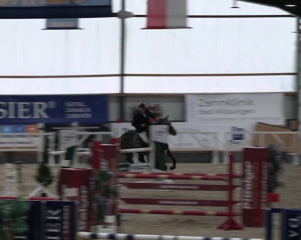 Reitturnier Borken 2024