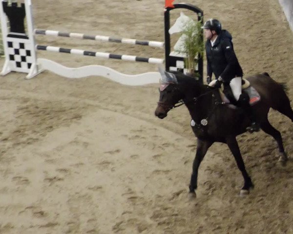 Reitturnier Weil der Stadt 2024