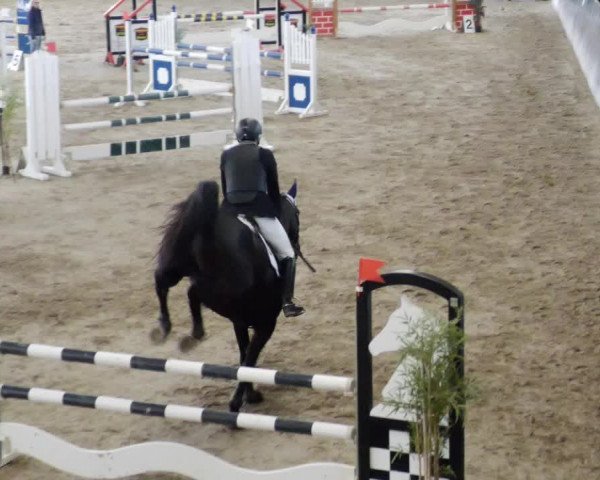 Reitturnier Weil der Stadt 2024
