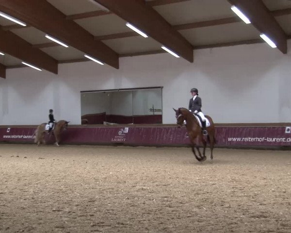 Reitturnier Eicherloh RH Laurent/Obb. 2024