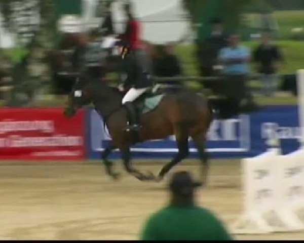 Reitturnier Waltrop 2011