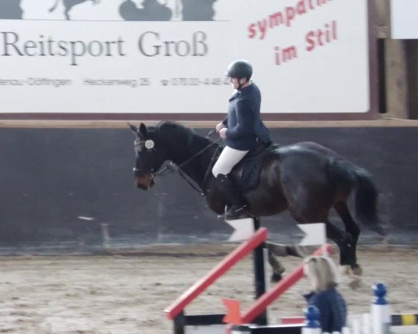 Reitturnier Weil der Stadt 2024