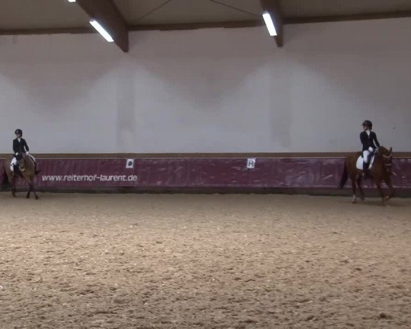 Reitturnier Eicherloh RH Laurent/Obb. 2024