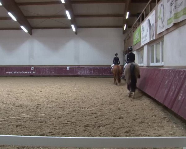 Reitturnier Eicherloh RH Laurent/Obb. 2024