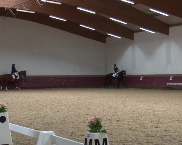 Reitturnier Eicherloh RH Laurent/Obb. 2024