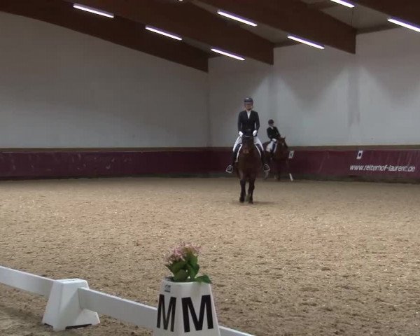 Reitturnier Eicherloh RH Laurent/Obb. 2024