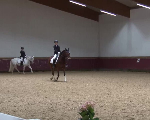 Reitturnier Eicherloh RH Laurent/Obb. 2024