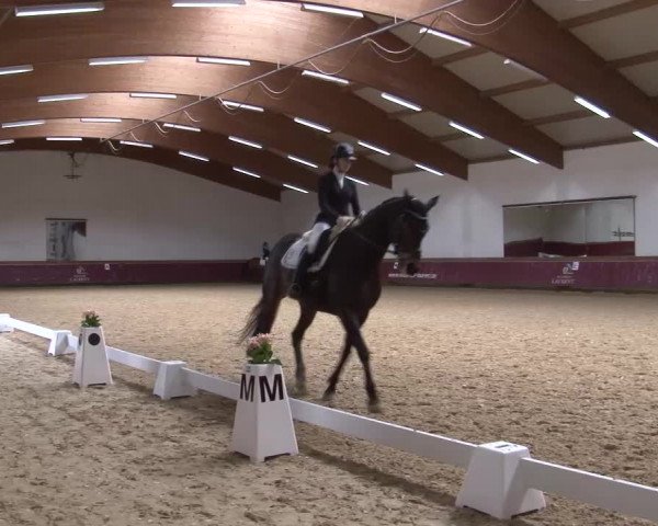 Reitturnier Eicherloh RH Laurent/Obb. 2024