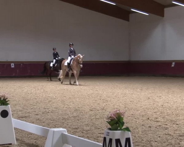 Reitturnier Eicherloh RH Laurent/Obb. 2024