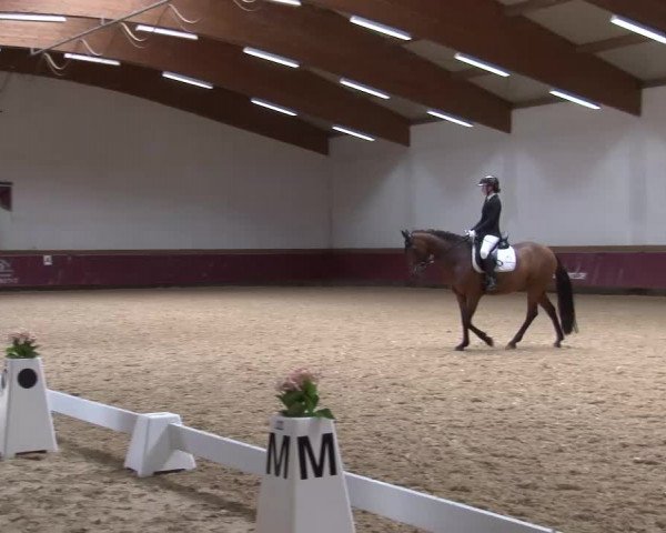 Reitturnier Eicherloh RH Laurent/Obb. 2024