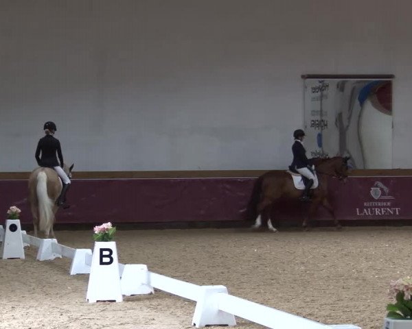 Reitturnier Eicherloh RH Laurent/Obb. 2024