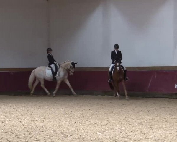 Reitturnier Eicherloh RH Laurent/Obb. 2024