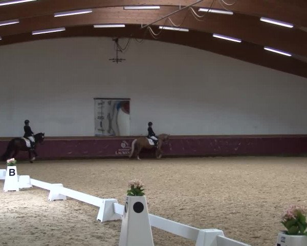 Reitturnier Eicherloh RH Laurent/Obb. 2024