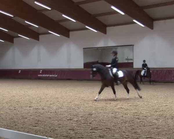 Reitturnier Eicherloh RH Laurent/Obb. 2024