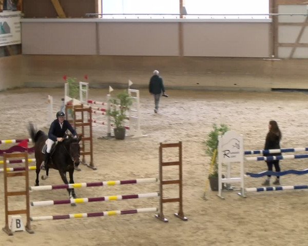 Reitturnier Schaffhausen 2024