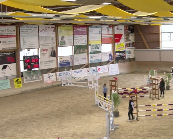 Reitturnier Schaffhausen 2024