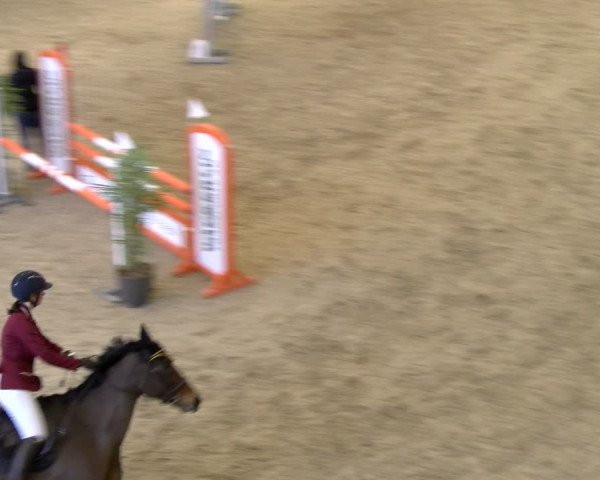 Reitturnier Schaffhausen 2024