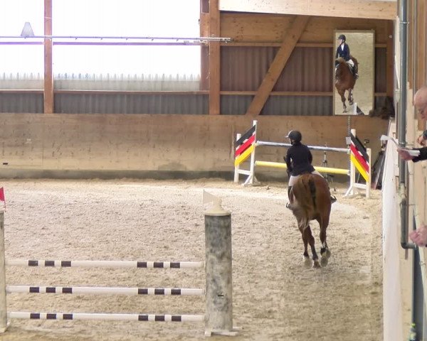 Reitturnier Schaffhausen 2024