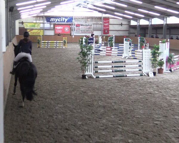 Reitturnier Schlieckau 2024