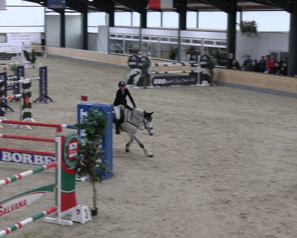 Reitturnier Borken 2024