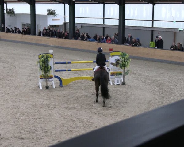 Reitturnier Borken 2024