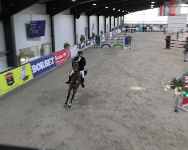 Reitturnier Borken 2024