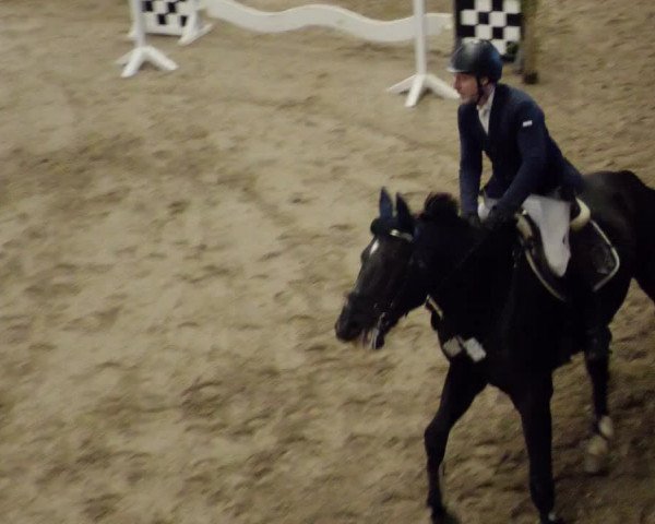 Reitturnier Weil der Stadt 2024