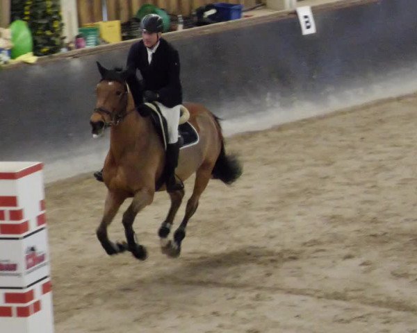Reitturnier Weil der Stadt 2024