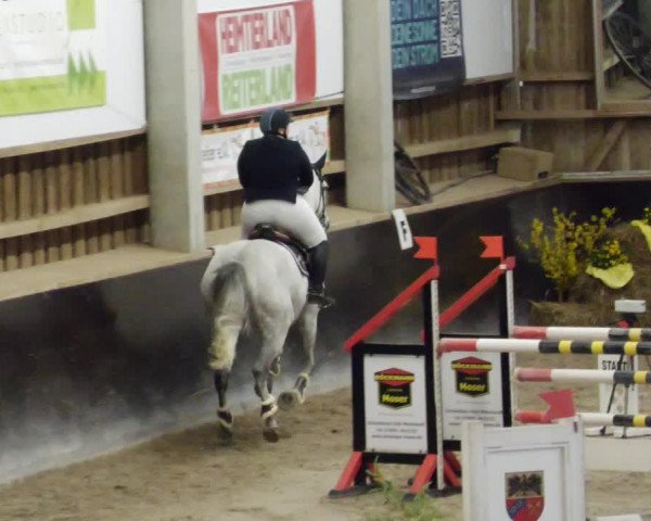 Reitturnier Weil der Stadt 2024