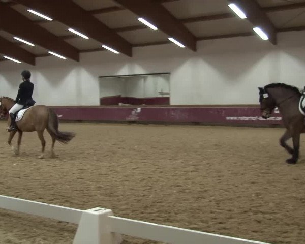 Reitturnier Eicherloh RH Laurent/Obb. 2024