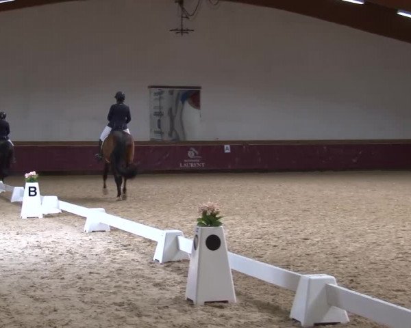 Reitturnier Eicherloh RH Laurent/Obb. 2024