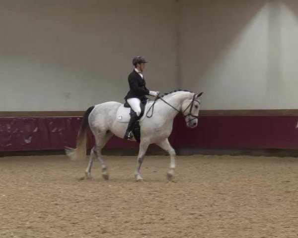 Reitturnier Eicherloh RH Laurent/Obb. 2024