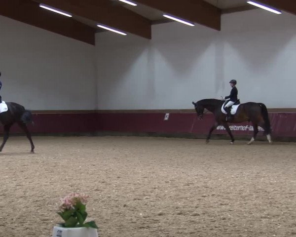 Reitturnier Eicherloh RH Laurent/Obb. 2024