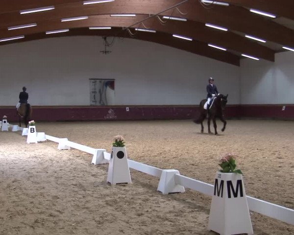 Reitturnier Eicherloh RH Laurent/Obb. 2024