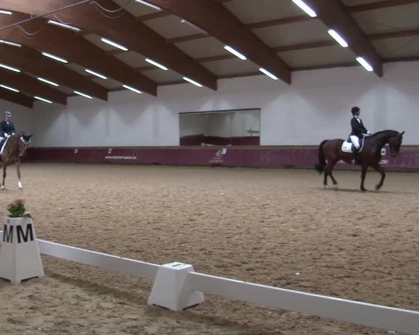 Reitturnier Eicherloh RH Laurent/Obb. 2024