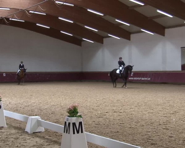 Reitturnier Eicherloh RH Laurent/Obb. 2024
