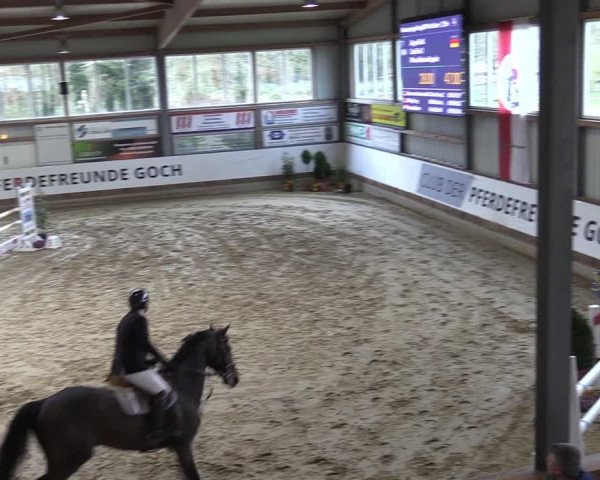 Reitturnier Goch 2024