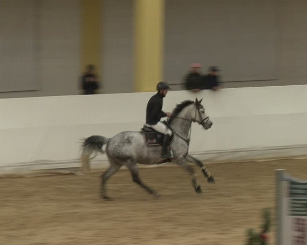 Reitturnier Stadl-Paura 2024