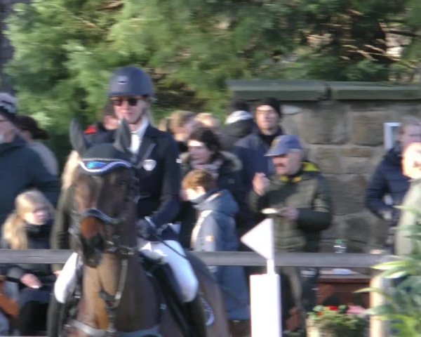 Reitturnier Hildesheim-Steuerwald 2024