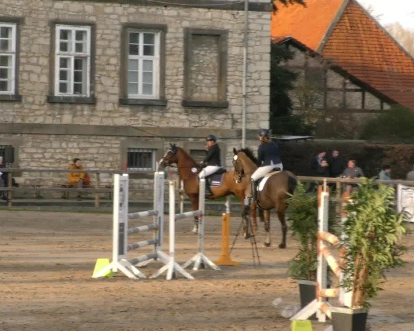 Reitturnier Hildesheim-Steuerwald 2024