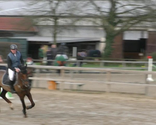 Reitturnier Hildesheim-Steuerwald 2024