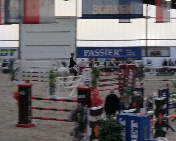 Reitturnier Borken 2024