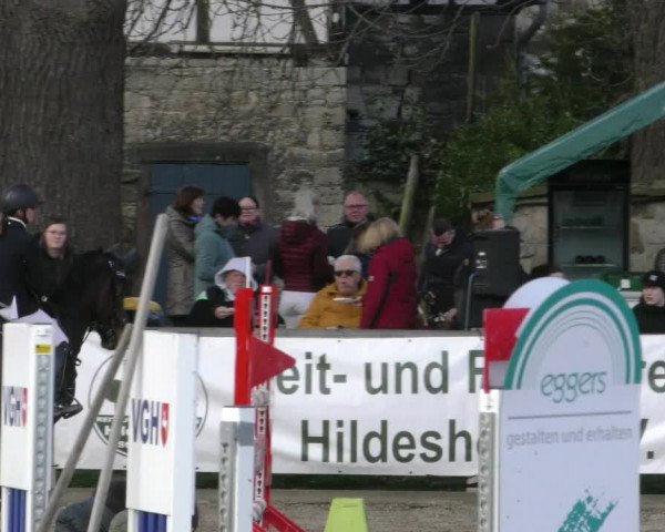 Reitturnier Hildesheim-Steuerwald 2024