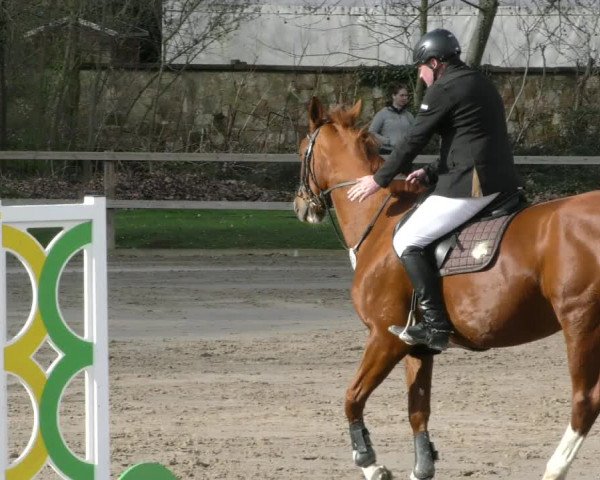 Reitturnier Hildesheim-Steuerwald 2024